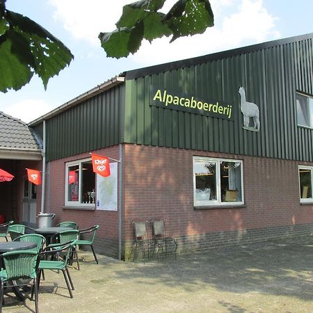 Appartamento De Alpacaboerderij Bocholt Esterno foto