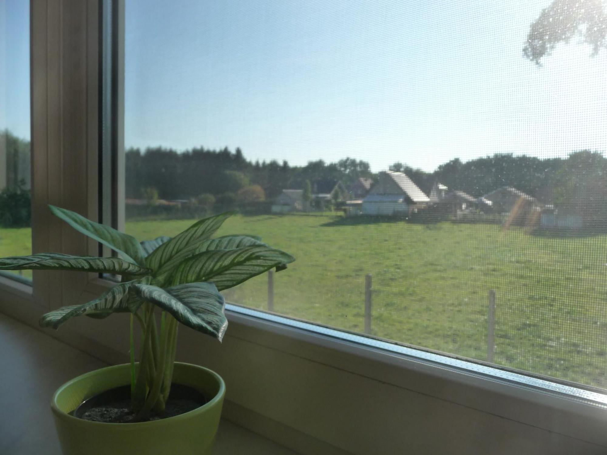 Appartamento De Alpacaboerderij Bocholt Camera foto