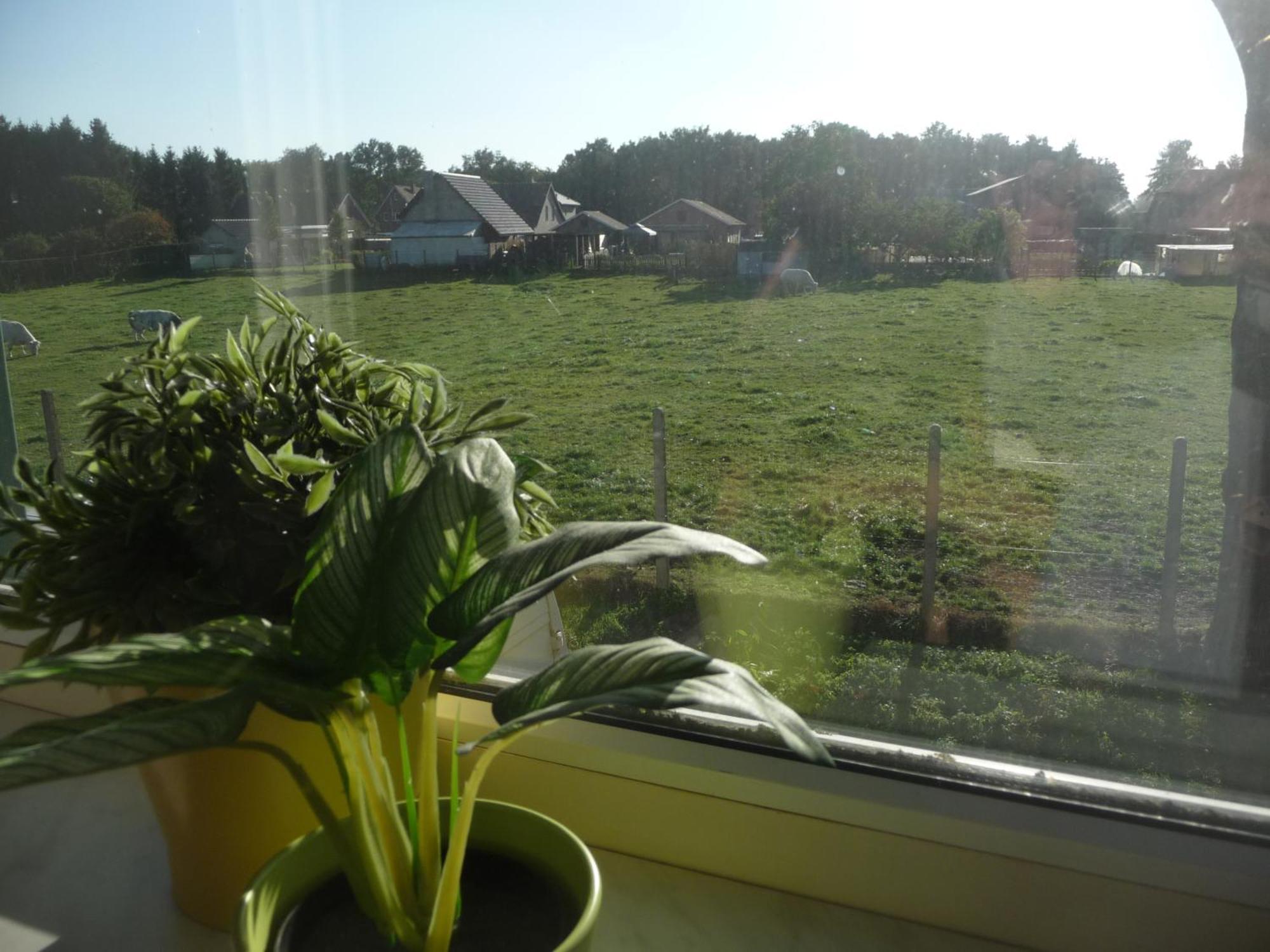 Appartamento De Alpacaboerderij Bocholt Camera foto