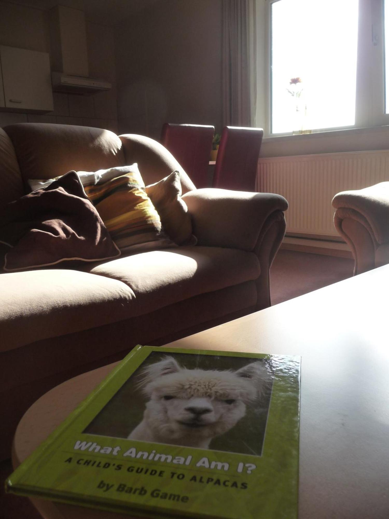Appartamento De Alpacaboerderij Bocholt Camera foto