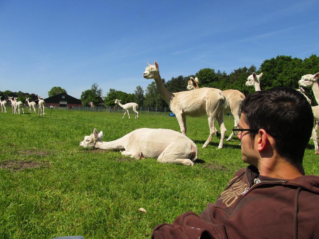 Appartamento De Alpacaboerderij Bocholt Esterno foto