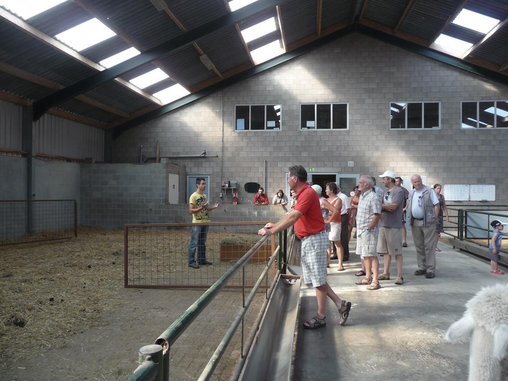 Appartamento De Alpacaboerderij Bocholt Esterno foto